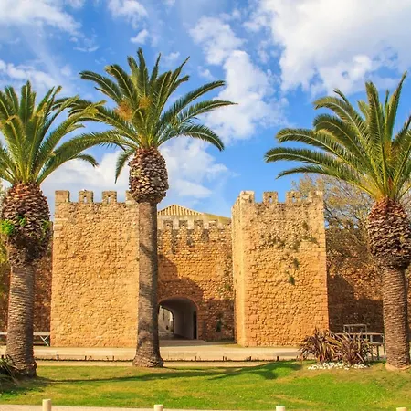 Near The Beaches #1922 *